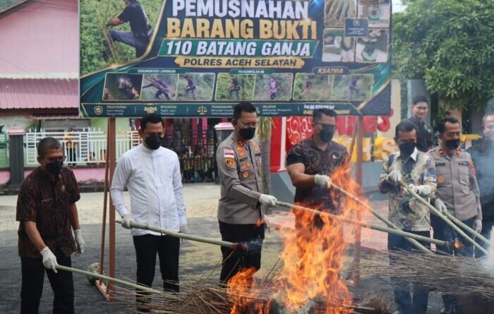 Kapolres Aceh Selatan sedang membakar batang ganja. (Foto/Ist)