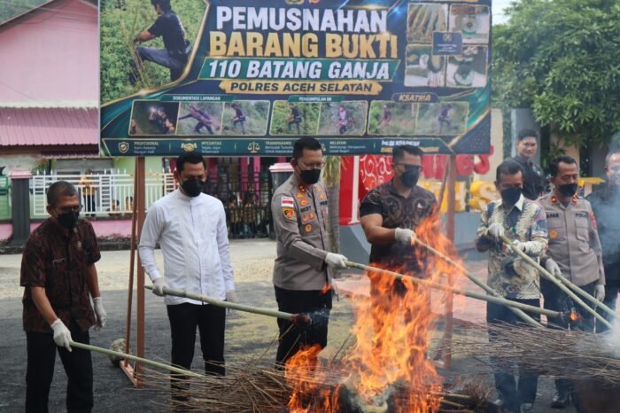 Kapolres Aceh Selatan sedang membakar batang ganja. (Foto/Ist)