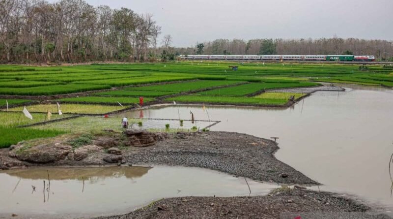 Musim Hujan Masuk, Kekeringan Berakhir Meski El Nino Bertahan
