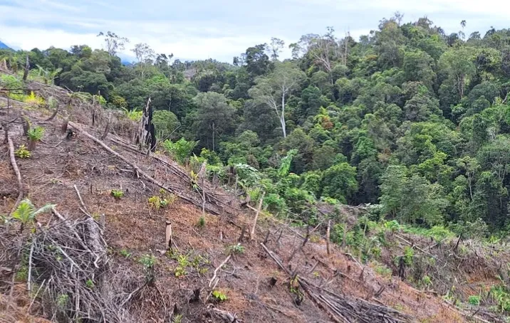 UU Reforma Agraria Sebagai Solusi Konflik Tanah di Indonesia